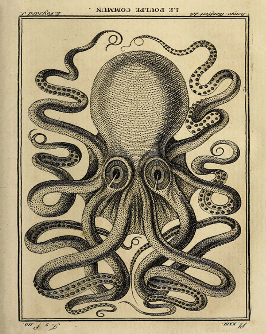 Screen Shot 2017-08-10 at 10.03.37 PM.png