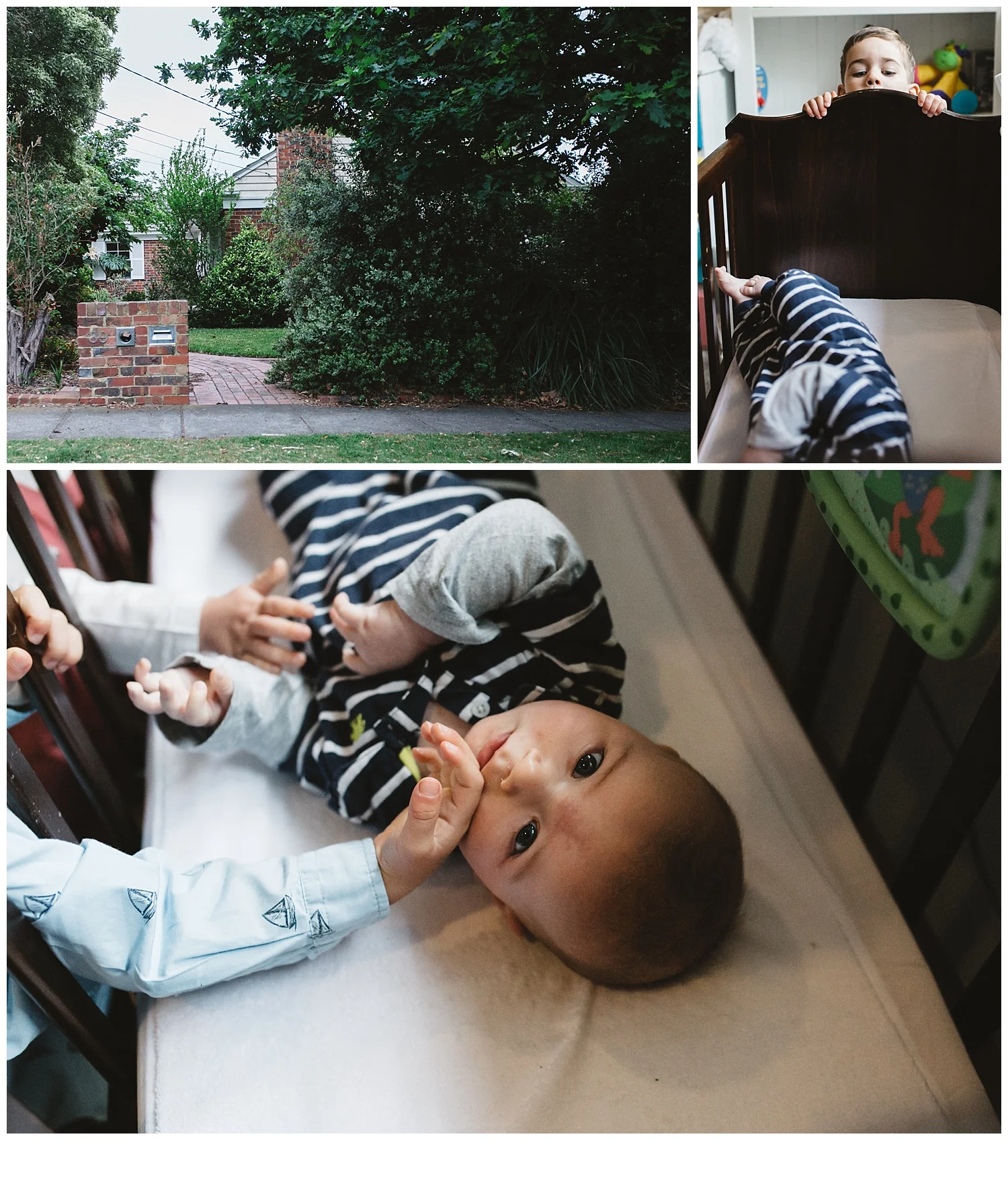 mentone toddler and family photography 