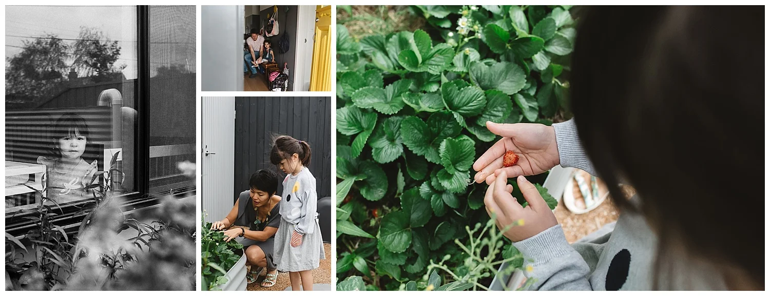 family lifestyle and newborn photography in Yarraville