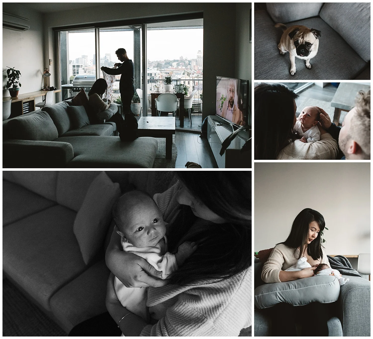 south yarra todller and newborn portrait photographer