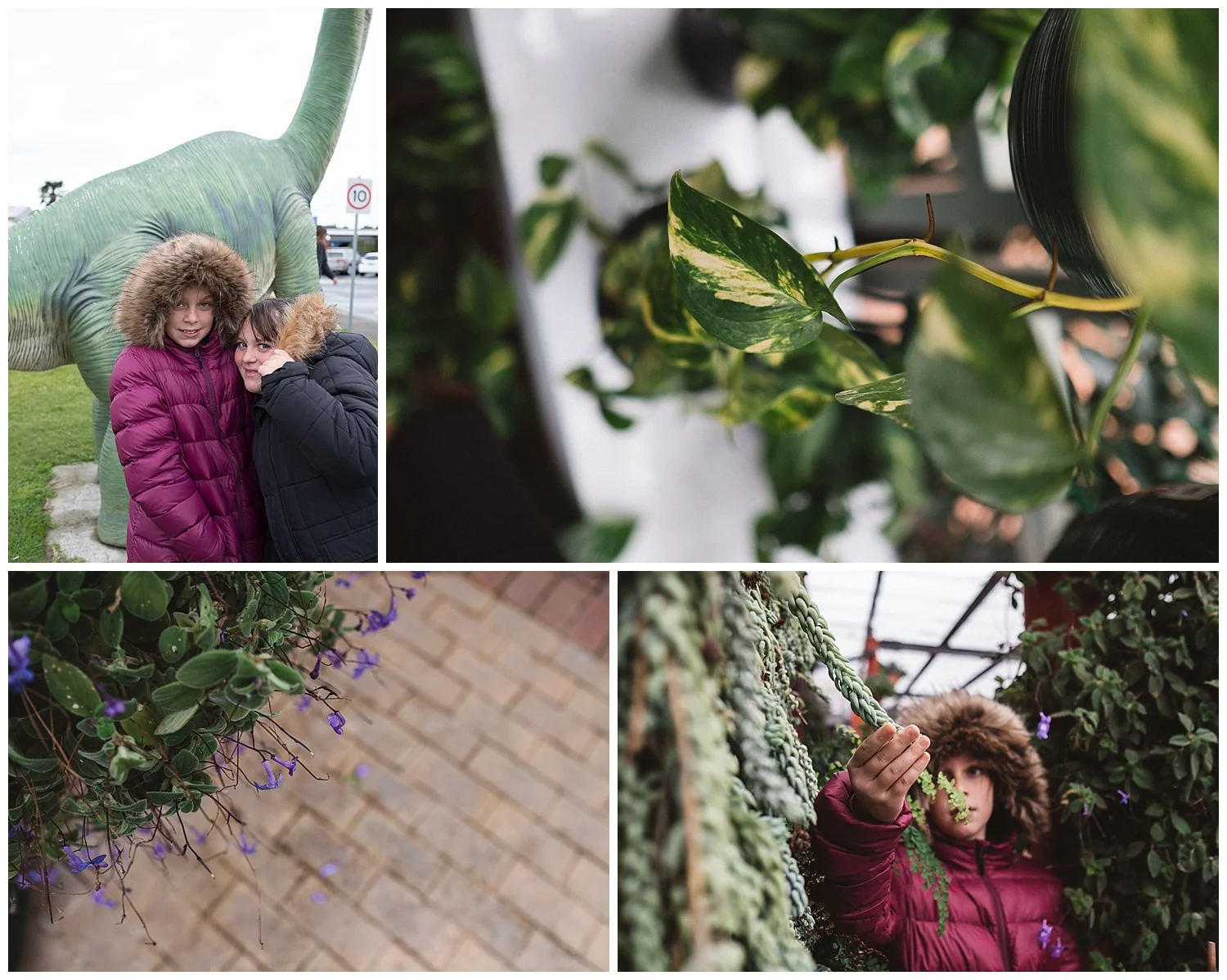 melbourne lifestyle photographer and gardening centre