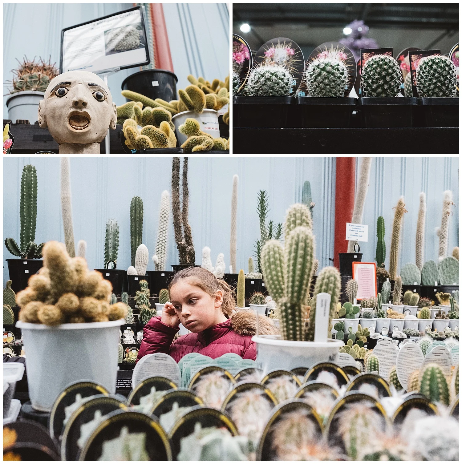 redhill newborn and family photography in mornington, genuine emotions and raw moments