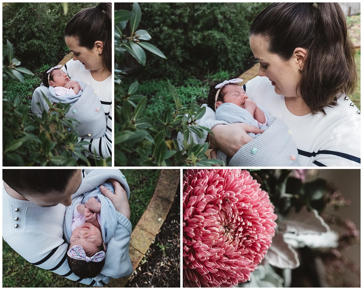 Family photos in Ormond and Mckinnon, lifestyle newborn photos