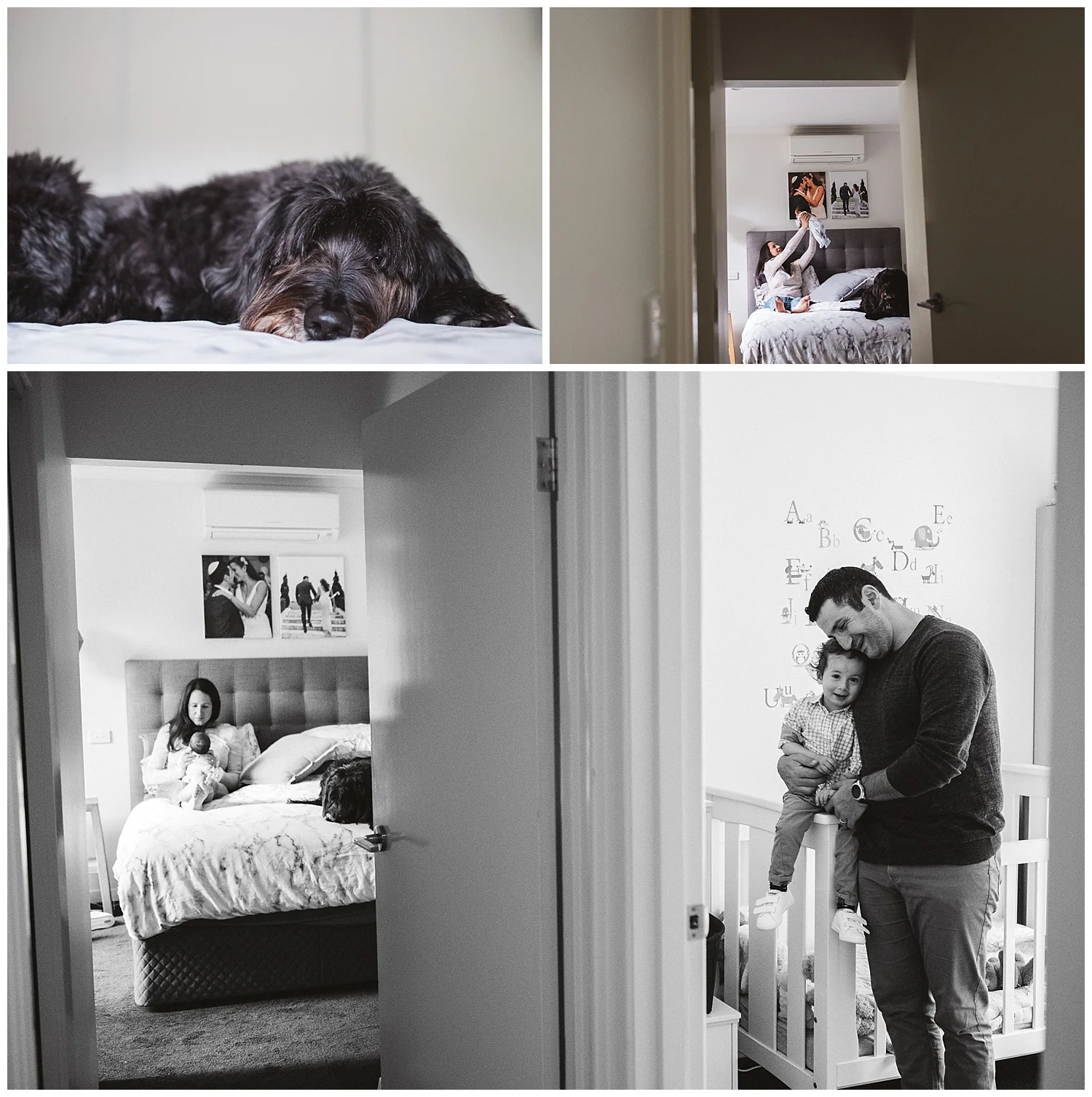 caulfield south family photos and lifestyle newborn photogrpahy