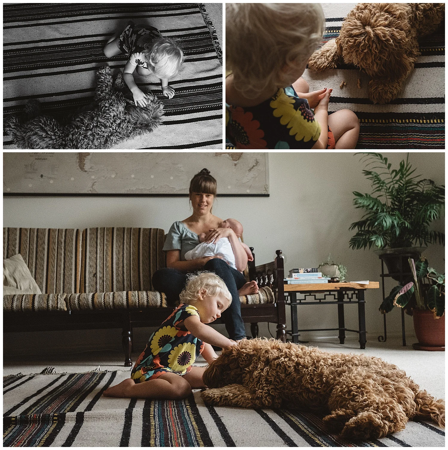 Outdoor family session