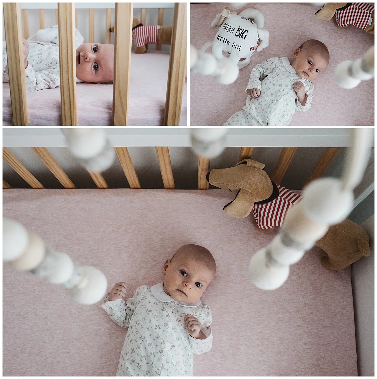 Newborn photography in Hampton, lifestyle family photographer