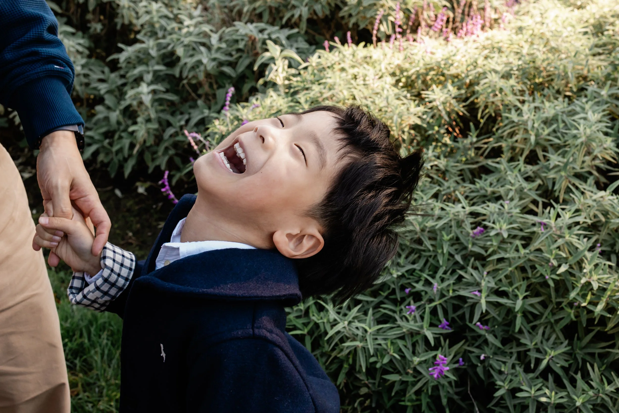 Family Photographer Carlton Gardens : Why choose Carlton Gardens?