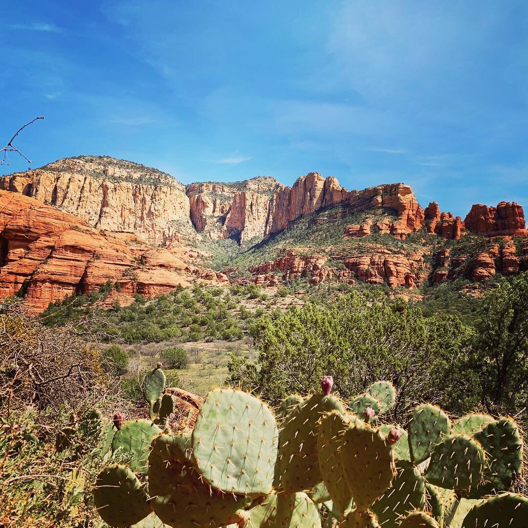 Red rock and ancient cliff dwellings at Palatki #sedona #arizona