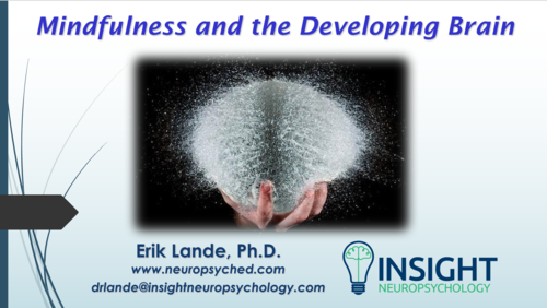 Mindfulness And The Developing Brain