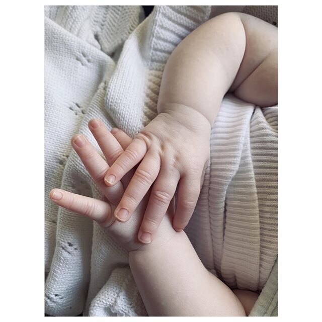Those long, chubby but dainty fingers 🕊
.
.
.
#meadowarteliza #pianoplayer #surgeon #10weeksold #bebe #melbourne