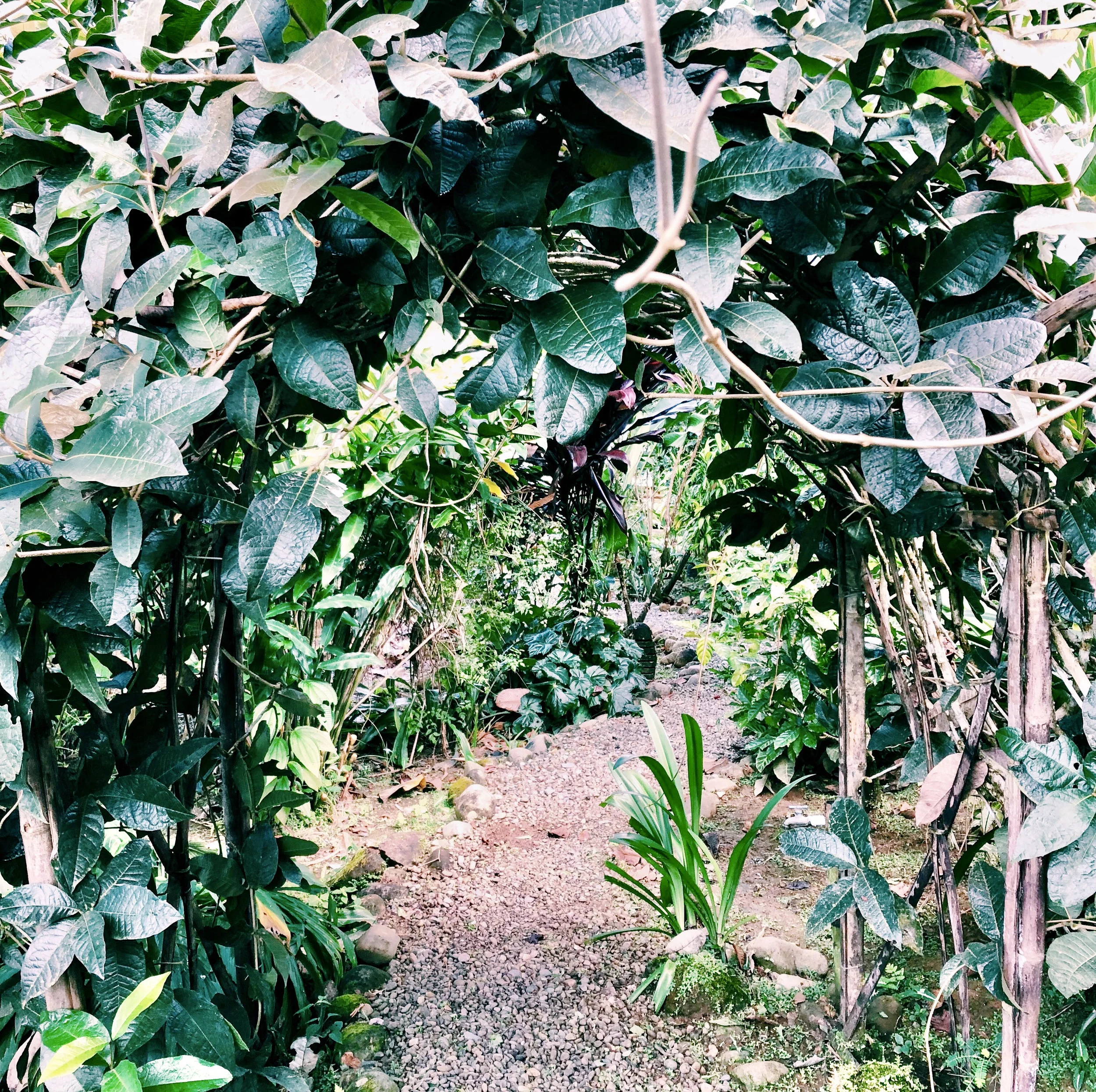 #25 Wie es dir gelingt, Entscheidungen mit Leichtigkeit zu treffen