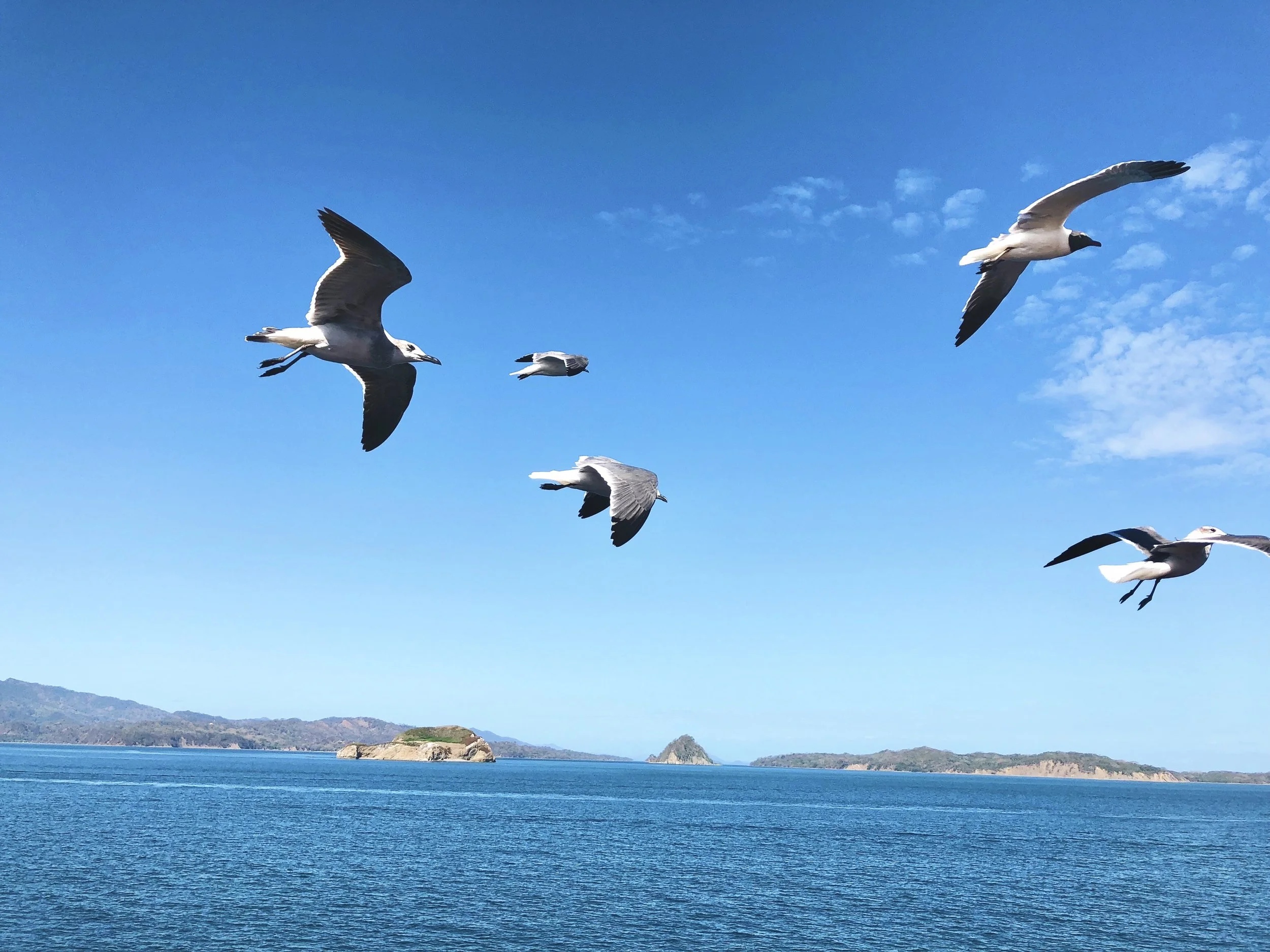 #28 Mach dich frei - wie du dich von Erwartungen lösen kannst