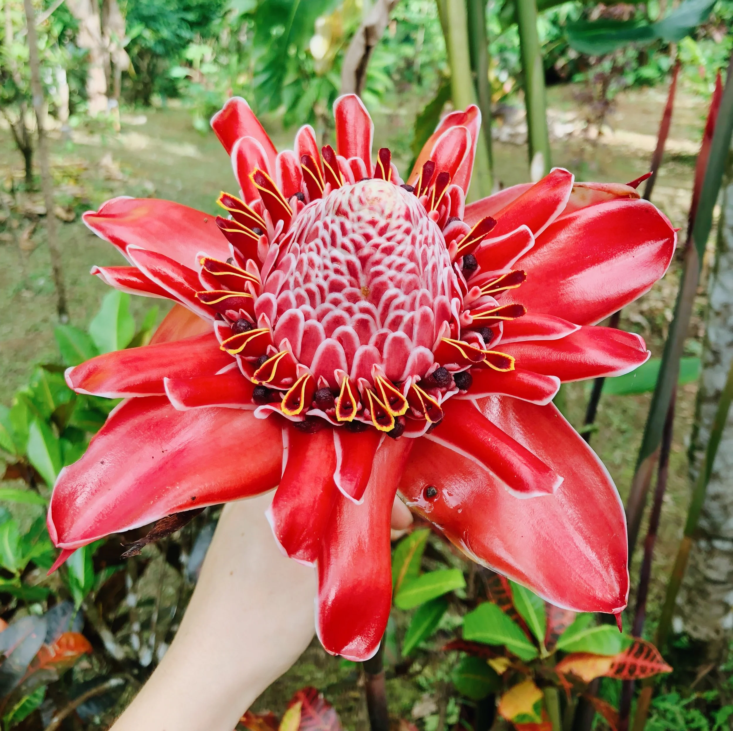 #38 Visualisierung "Flourish & Thrive"