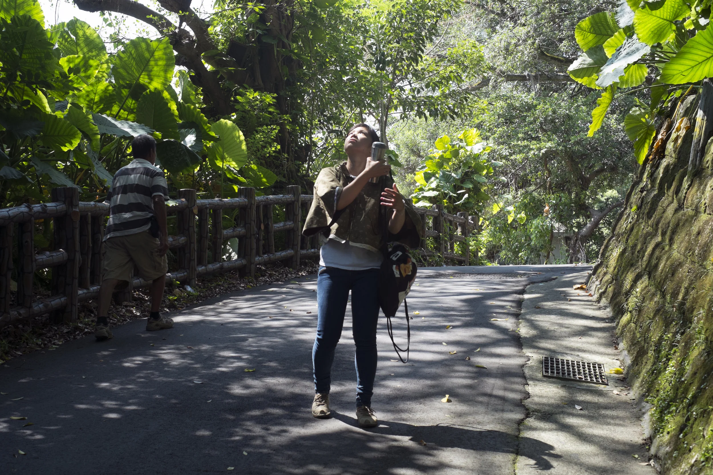 My sister watches the tree leaves and hears the birdcall, Daxi, Taoyuan, Taiwan