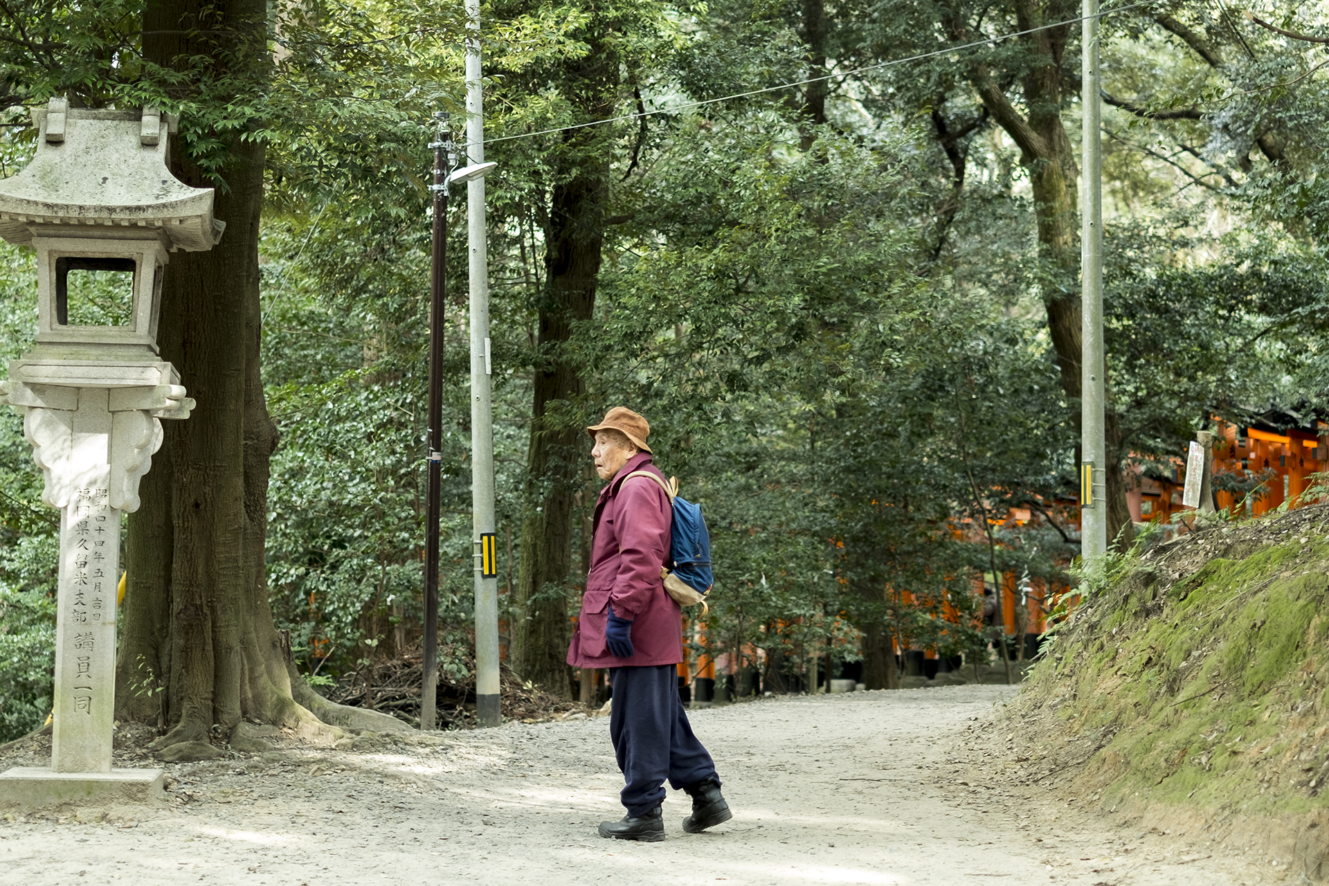 The old man loses his direction in Fushimi Inari-taisha (Inari Shrine), Kyoto, Japan