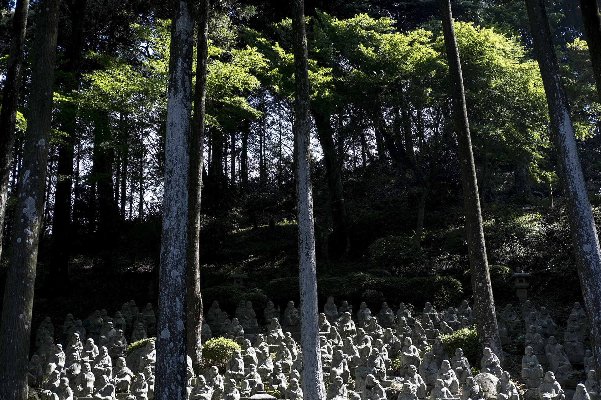 500 Arhats in Raizansennyoji Taihioin, Itohshima, Japan