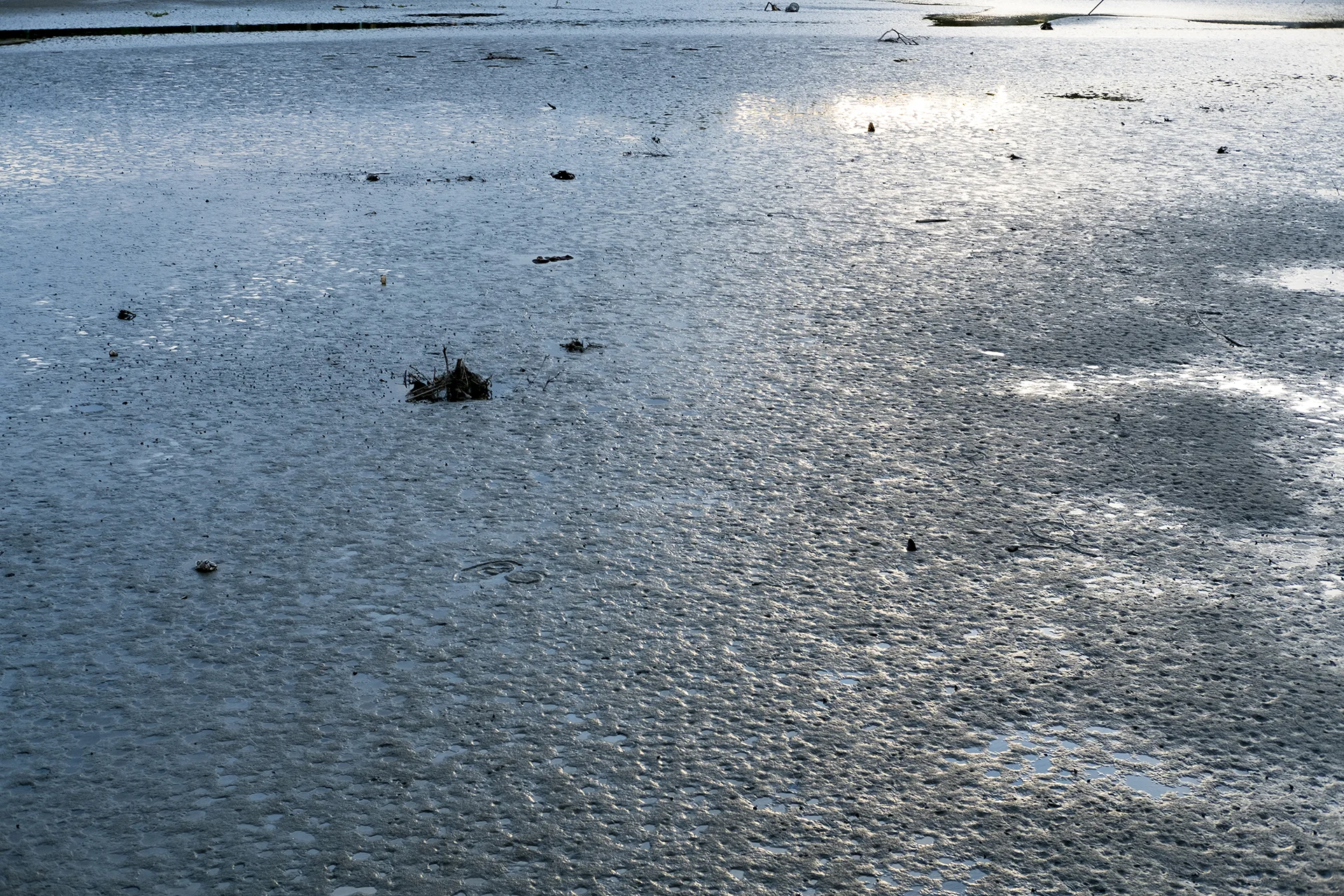 Dry lake during winter time, Hsinchu, Taiwan
