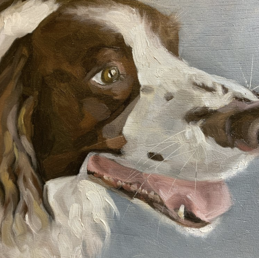 Ryen Huntley - Pet portrait 1.png