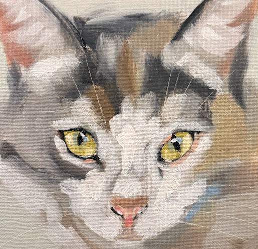 Screenshot 2026-09-20 at 11.51.03.png