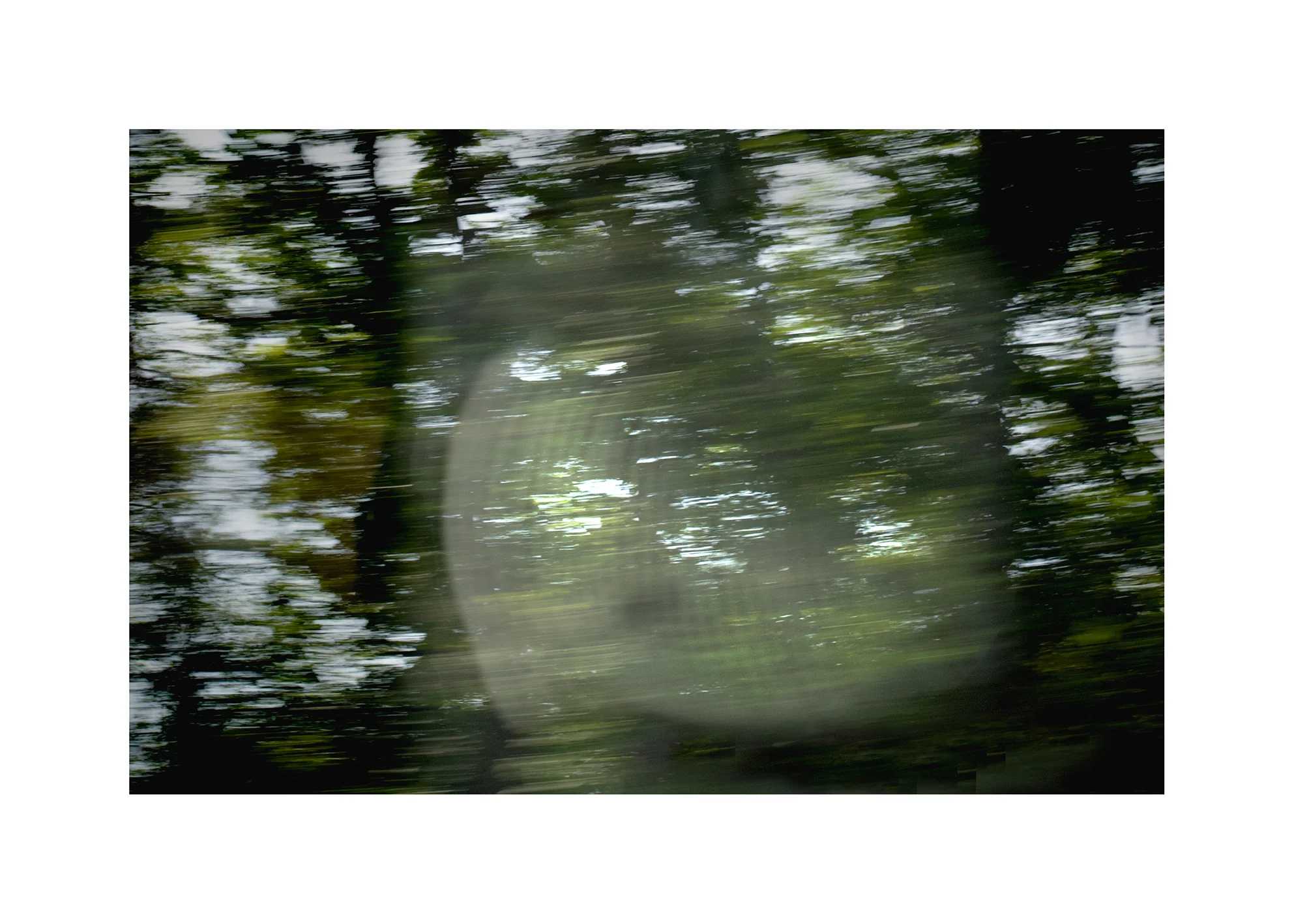 abstract-white-bubble-cropped-IMG_1566-copy.jpg