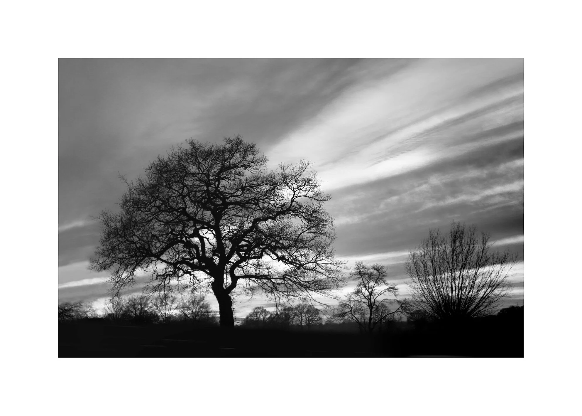 Growth-On-route-to-Duisberg-bw-dd-frame-IMG_8157-copy-4.jpg