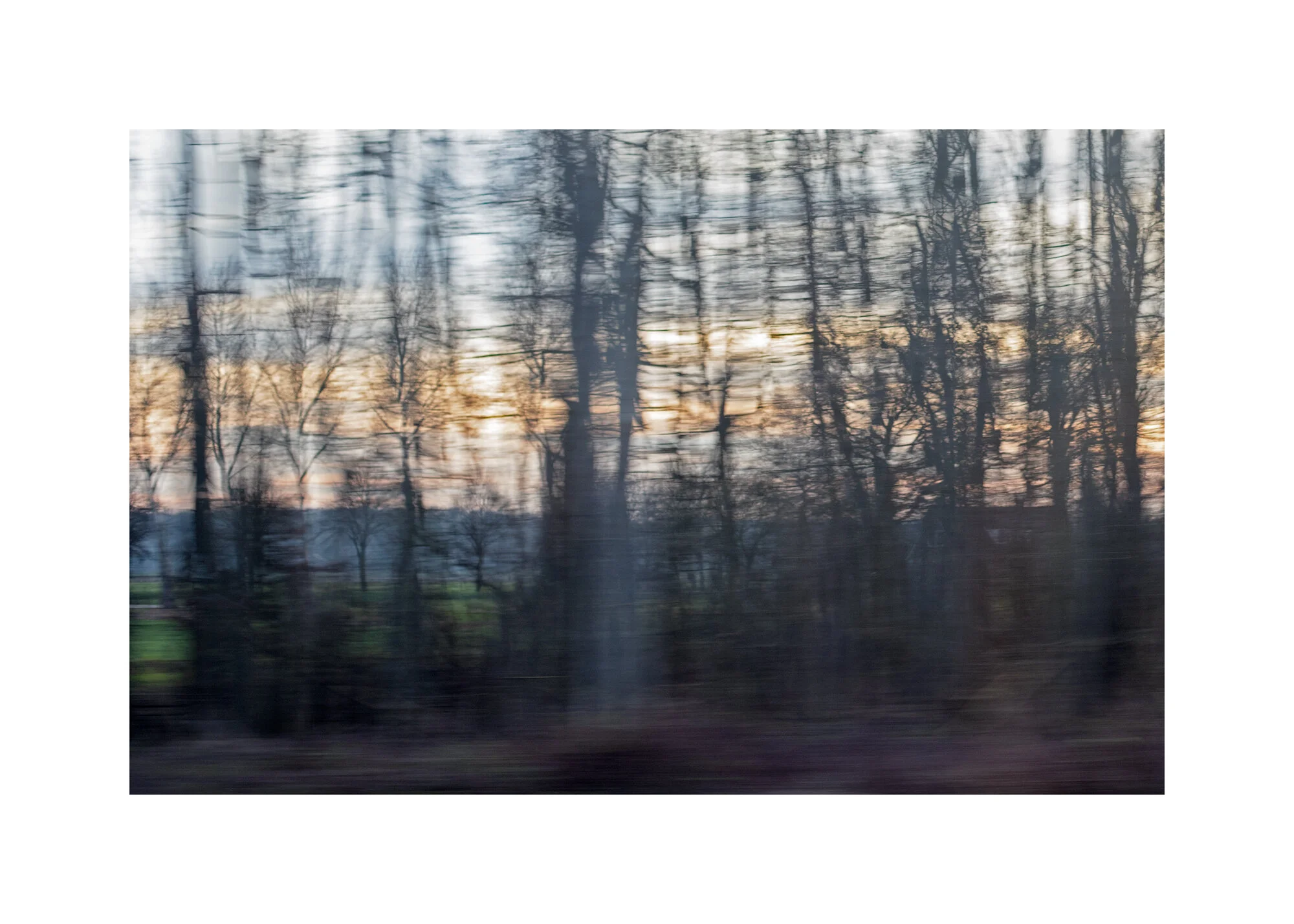 flying-forest-end-of-day-56-x-36-frame.jpg