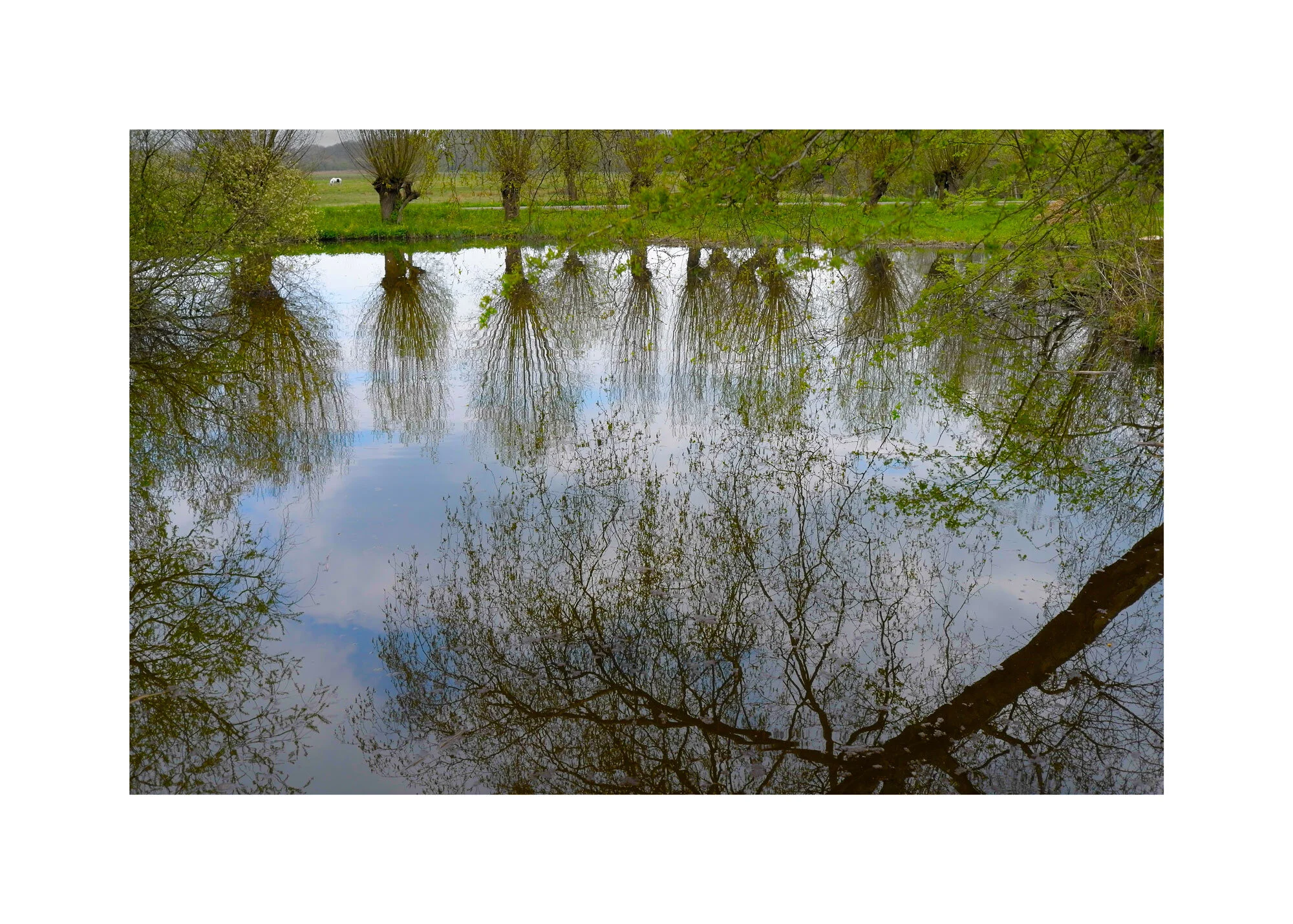 growth-Amsterdam-for-web-colour-frame-56x36-L1003711-copy-3.jpg