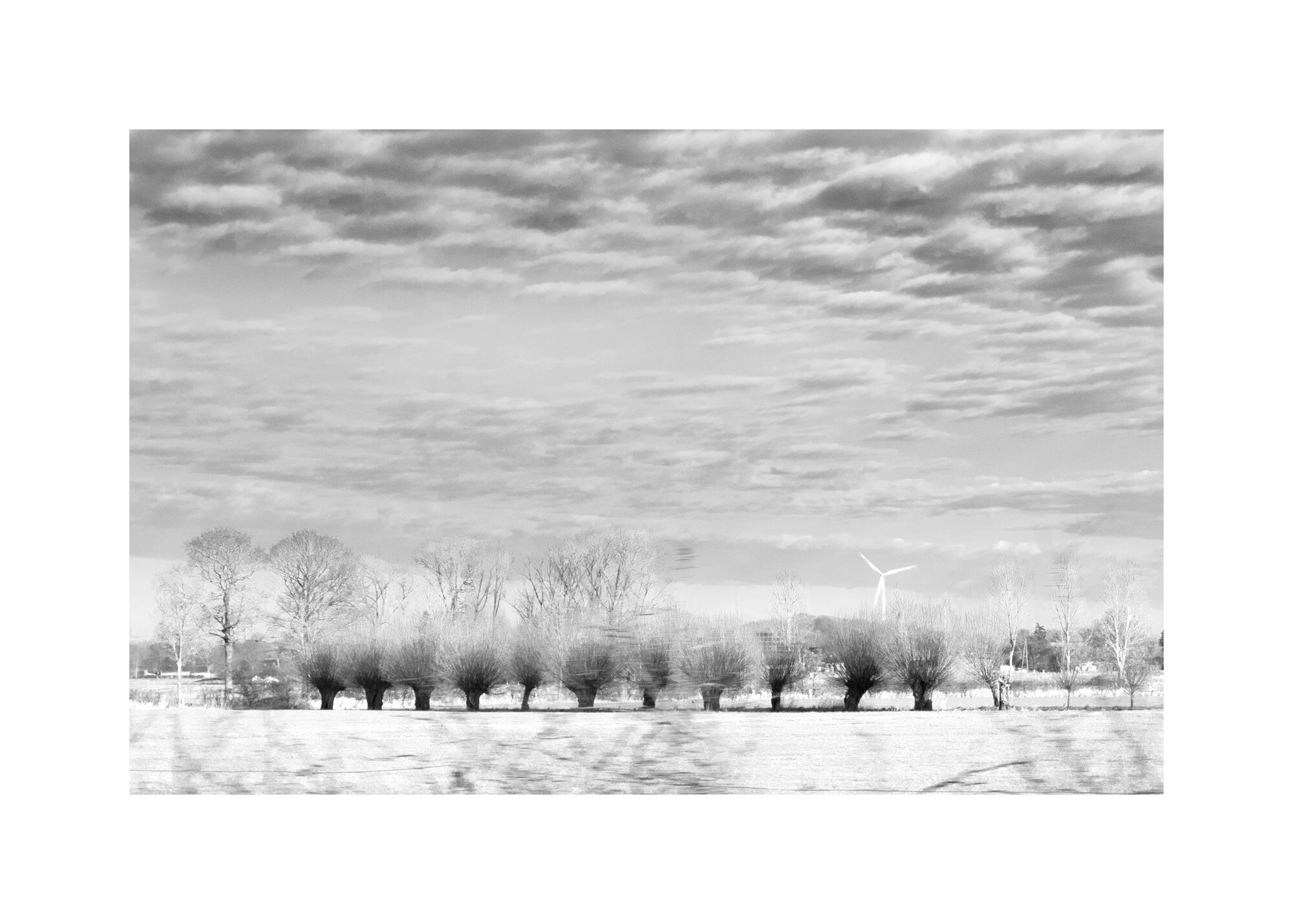branching-out-lined-bnw-aa-frame-IMG_8324-Edit.jpg