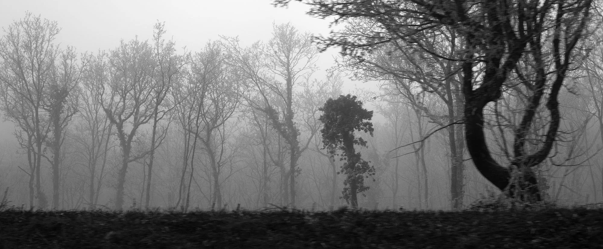 growth-the-little-one-greyscaled-IMG_5374-copy-3.jpg