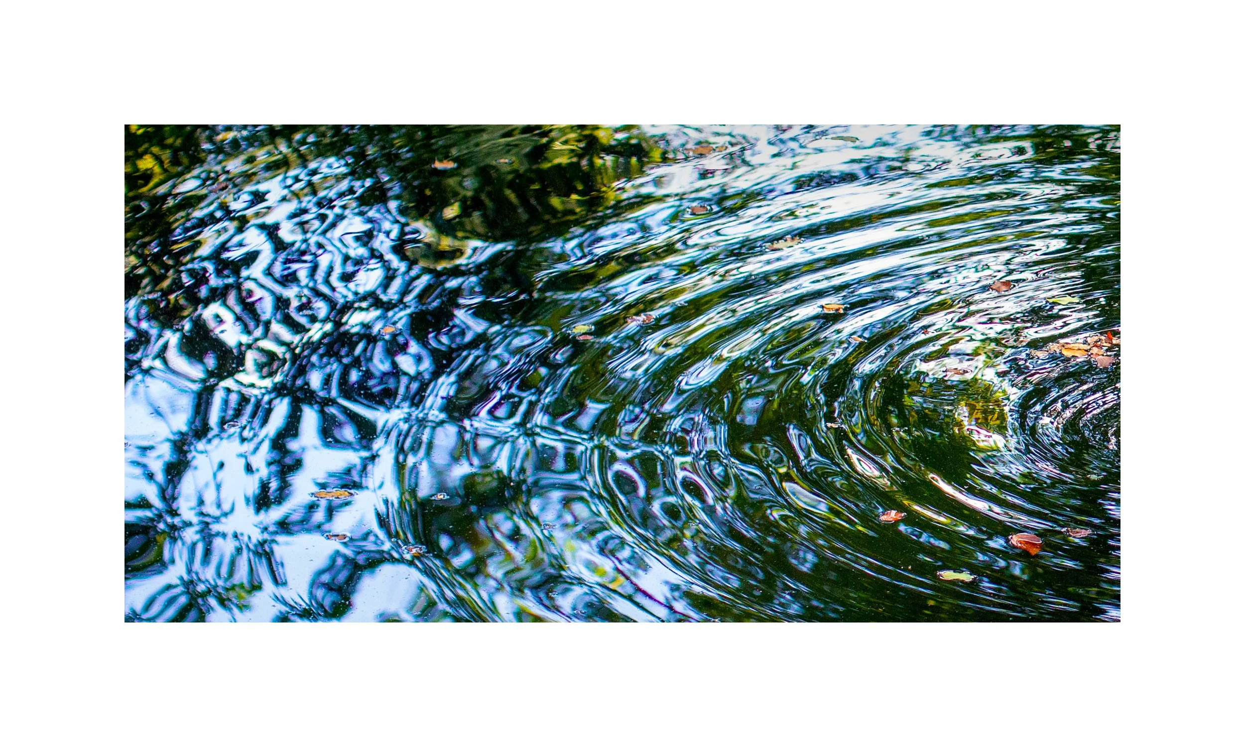 expressions-still-water-moves-ff-frame.jpg