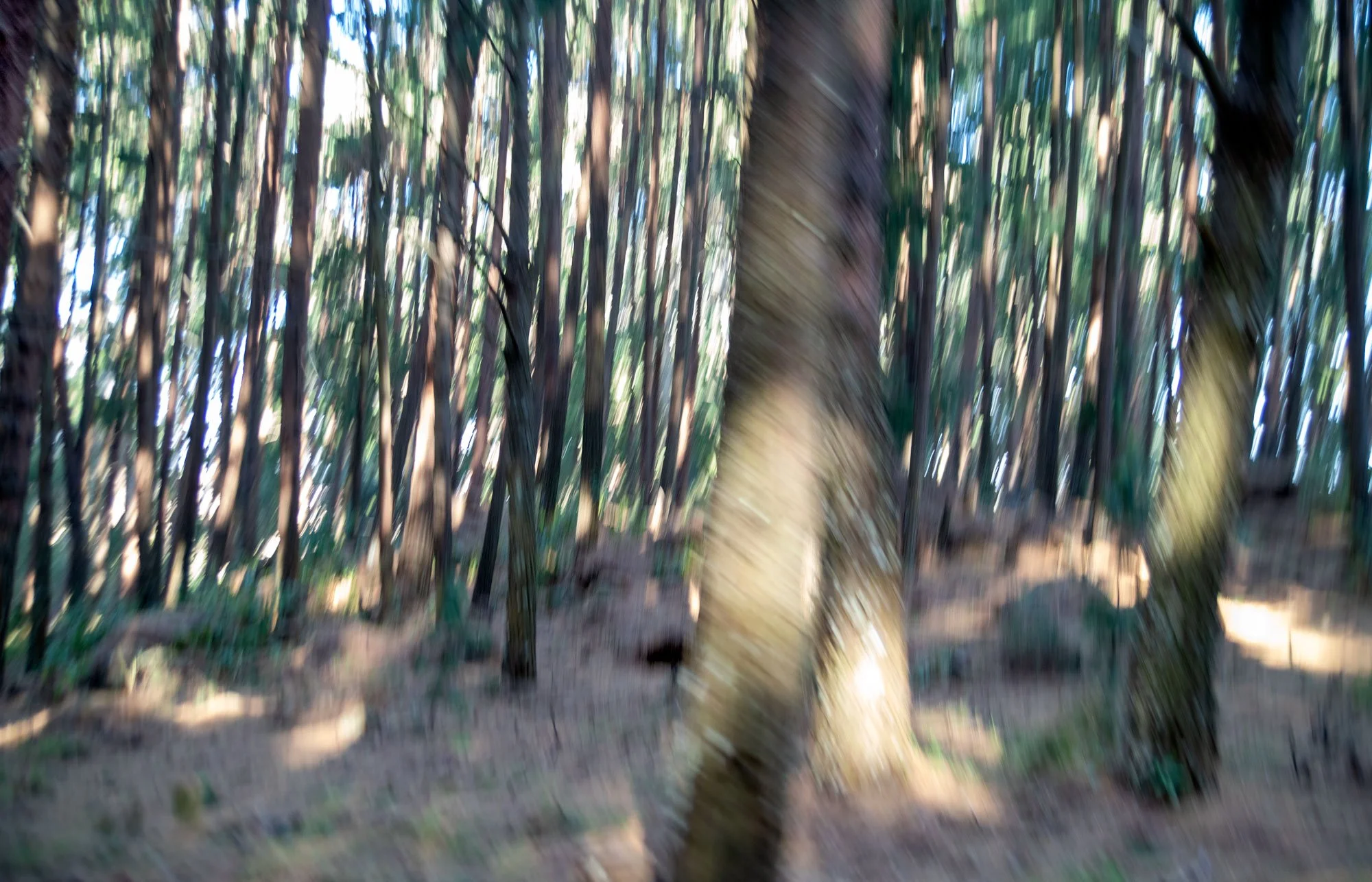 expressionism-colour-blend.jpg