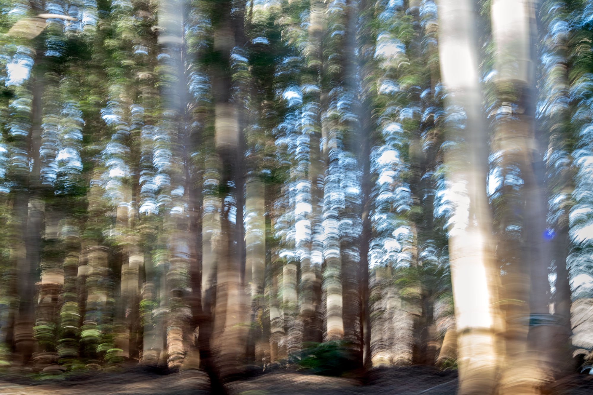 expressionism-ghosts-of-dunkeld.jpg