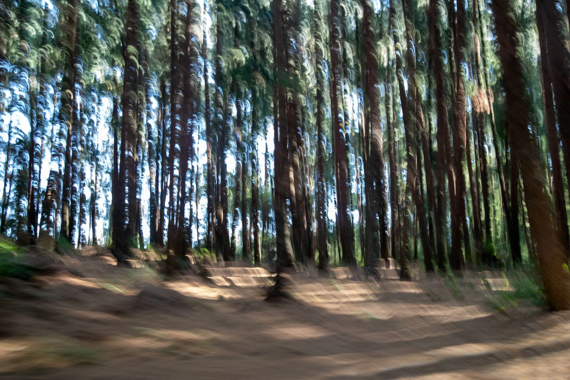 expressionism-dullstroom.jpg