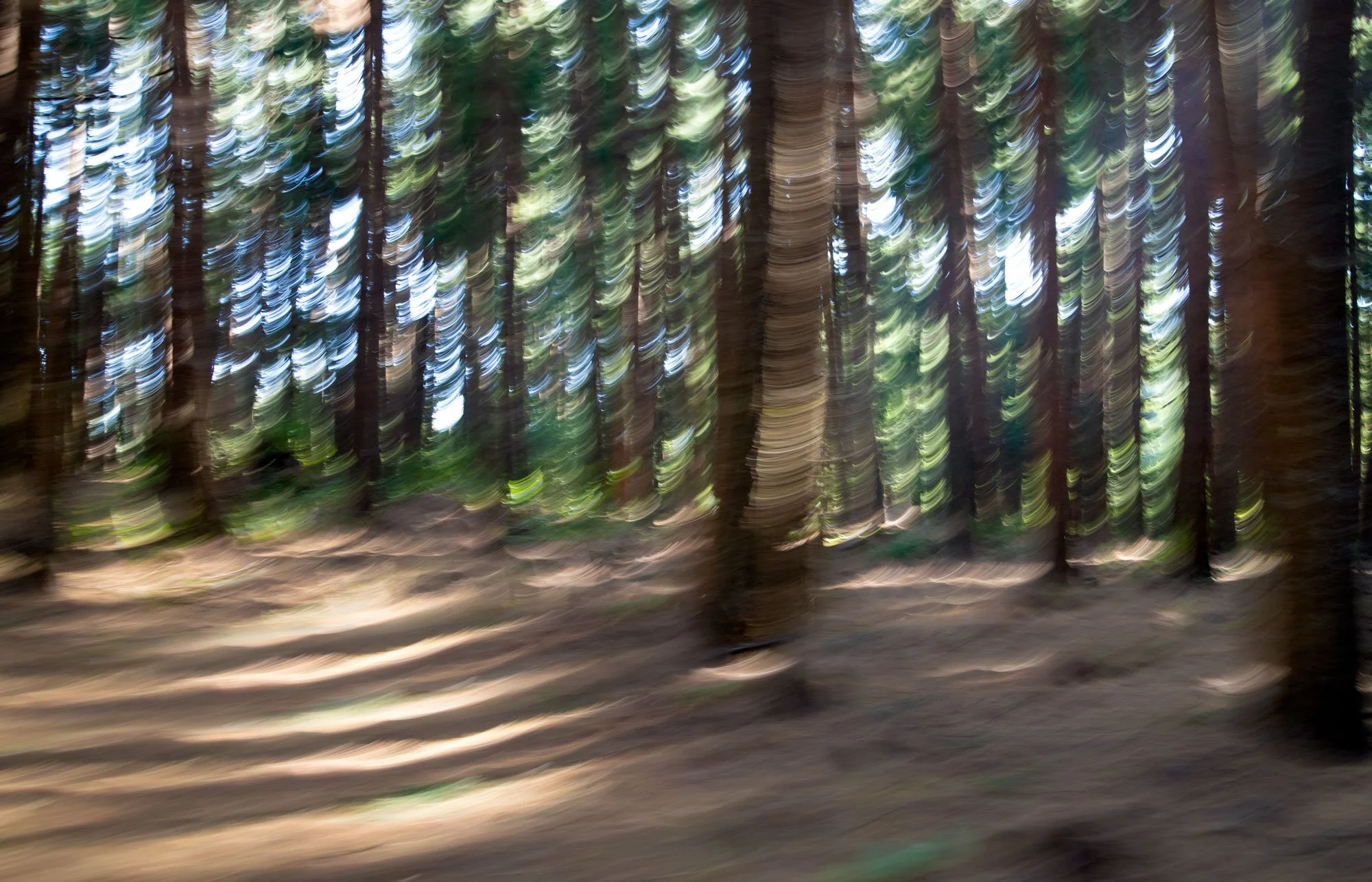 expressionism-thrashing-light.jpg