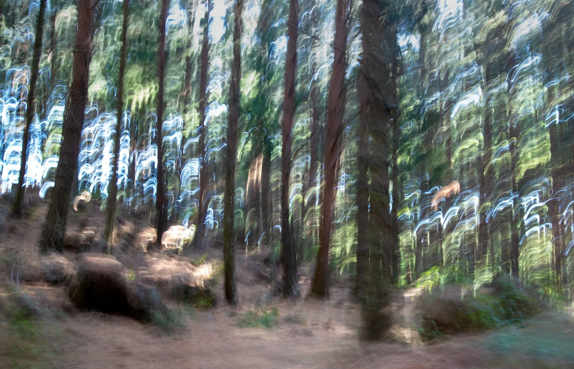 expressionism-up-the-hill.jpg