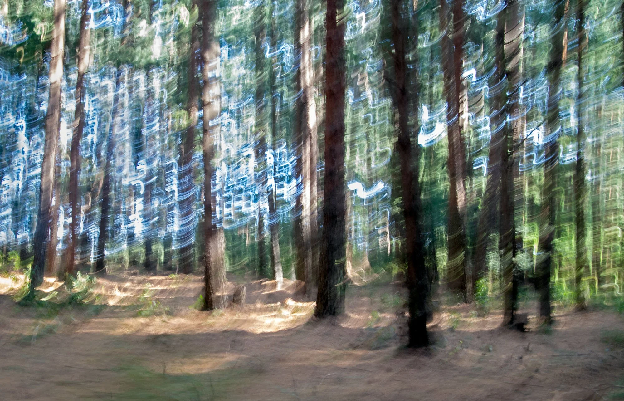 trees-colourblizzard.jpg