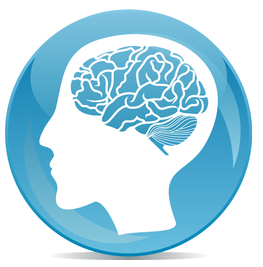brain1.png