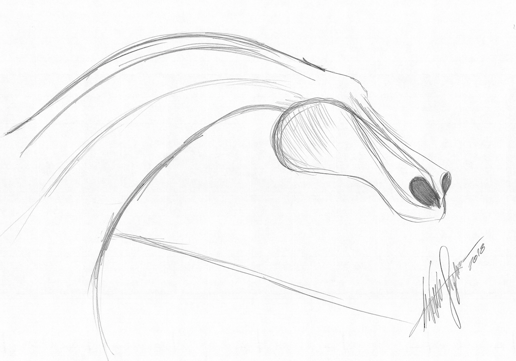 “From my earliest years, horses have fascinated me. Their speed and movement, their seemingly effortless strides. The powerful sound of them breathing and the flash of light as they bolt past remain deeply imprinted in my memory. I have always felt as though they are flying; momentum keeping them airborne – their flight interrupted by only a slight contact with the surface. Barely a tap. If you examine a horse in mid-gallop you can see what I see; a magnificent being propelled through the air, defying gravity with its streamlined form. As a young boy, I drew horses compulsively; on everything I could get my hands on, including furniture and walls. As time passed, little by little, their figures became more and more abstract. The legs, the necks, and snouts became something entirely different. The shapes began to take on new meaning and contours. And forms transformed into sensations. Sound, music, light; and the poetry of movement. I became disinterested in the exact anatomy of a horse; my pencil and hands acquired the freedom to follow a new physiology. To translate the idea of horses rather than their appearance. When we look at the sunset we don’t see that it is an atomic explosion. In the same way, my pieces are not horses – they are a sensory manifestation of a feeling. More a perceptible dream; surreal. During my study of primitive rock art in 2003, I discovered a beautiful horse engraving in Saudi Arabia. The similarities with my childhood drawings were incredible. This encouraged me to search for more images of prehistoric representations of horses. For more than 10,000 years, artists have been trying to interpret the unique qualities of these majestic animals – and I believe their fascinating story will be carried on forever through art.” ANTONIO SIGNORINI