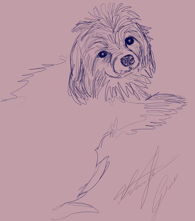 Little Gioia #friend #dog #portrait #life #art