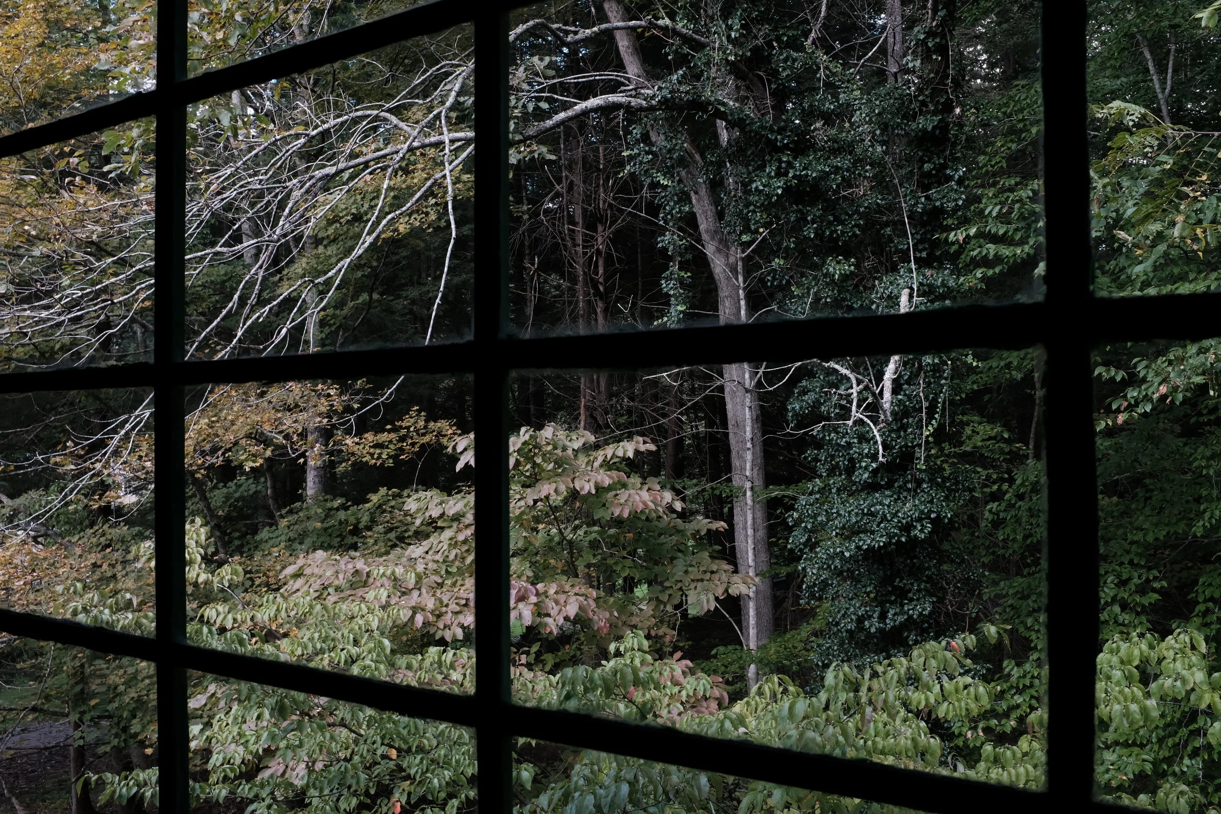 DSCF5287.JPG