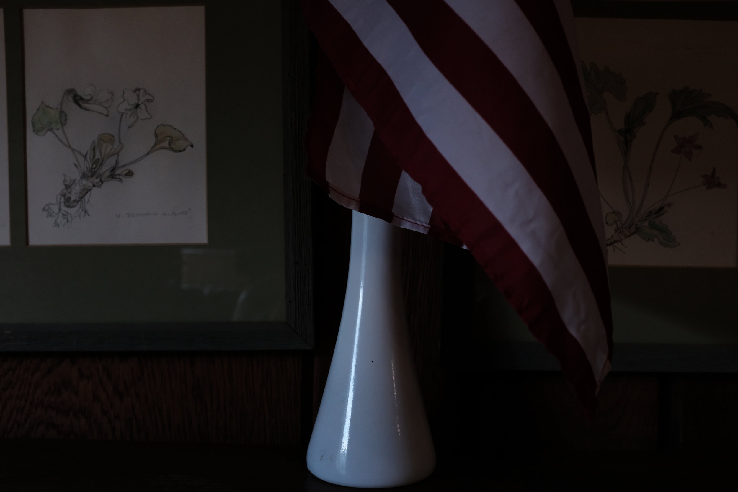 DSCF5288.JPG