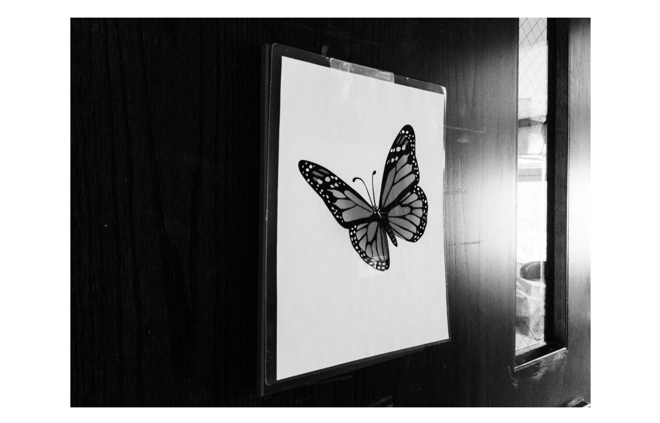 Screen Shot 2022-01-17 at 2.02.41 PM.png