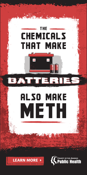 LADPH_Meth_Digital_Chemicals_300x600_EN.gif