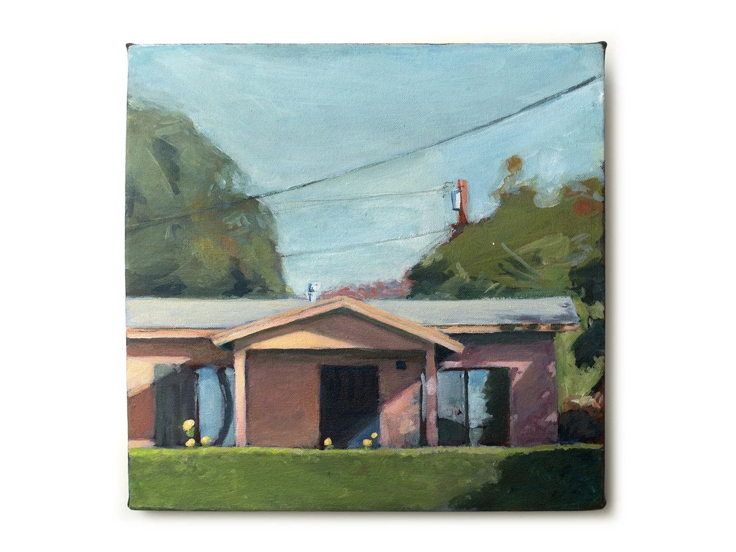 Pinkish House