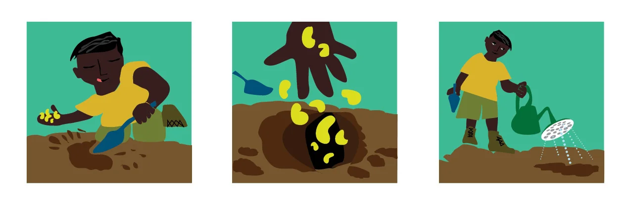 Jack_beans.jpg