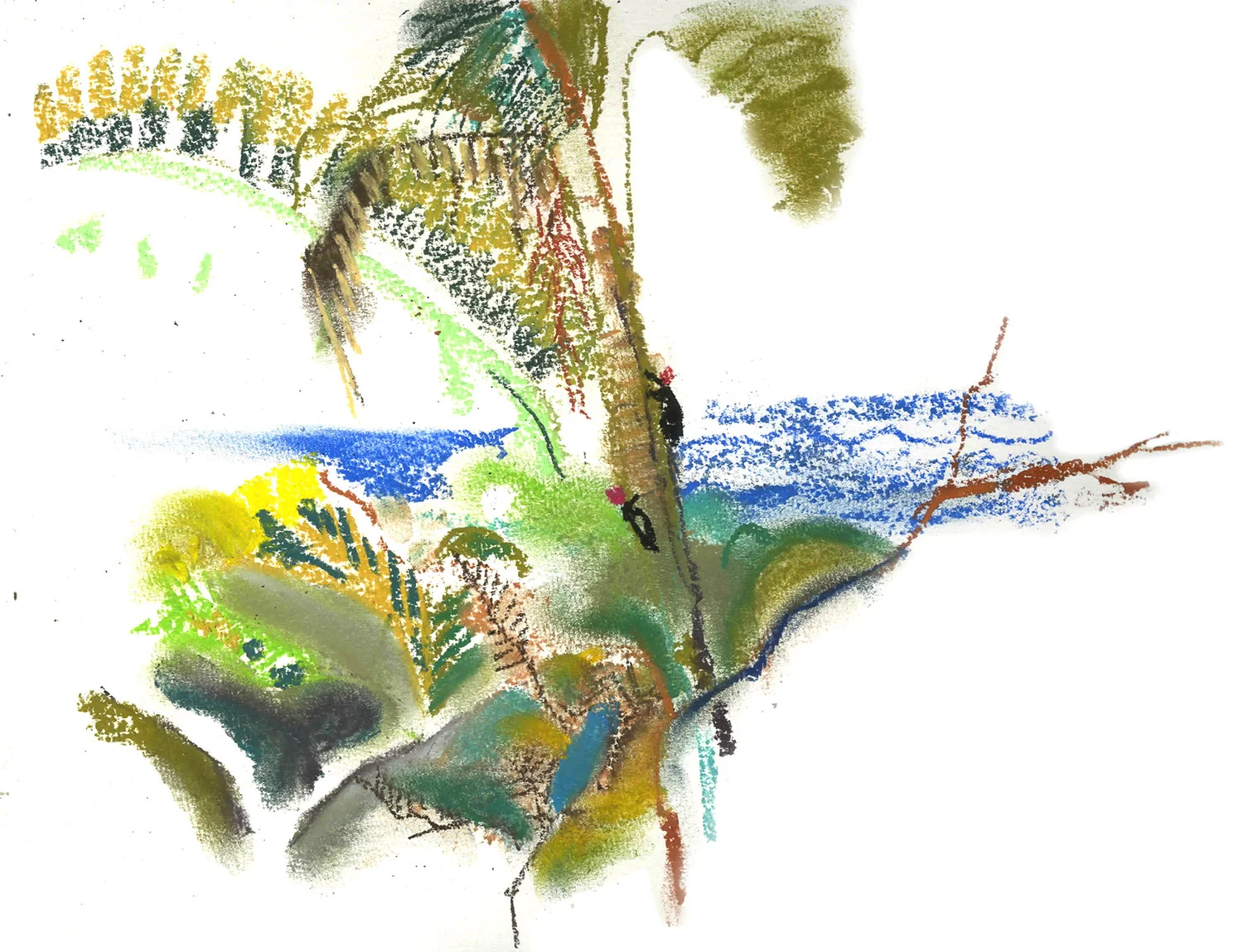 Sayulita palm tree, Mexico