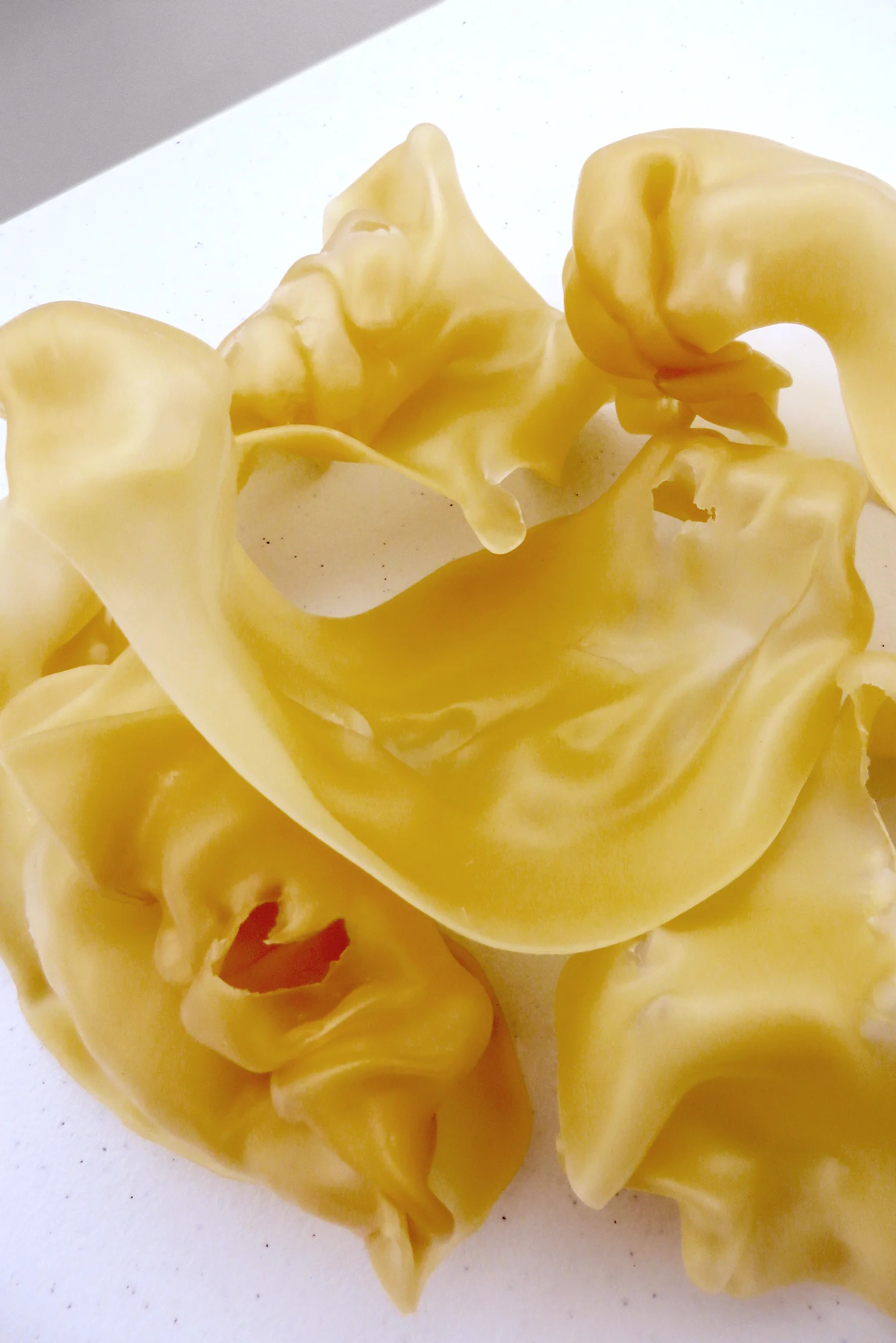   Piece for Remaking  before 