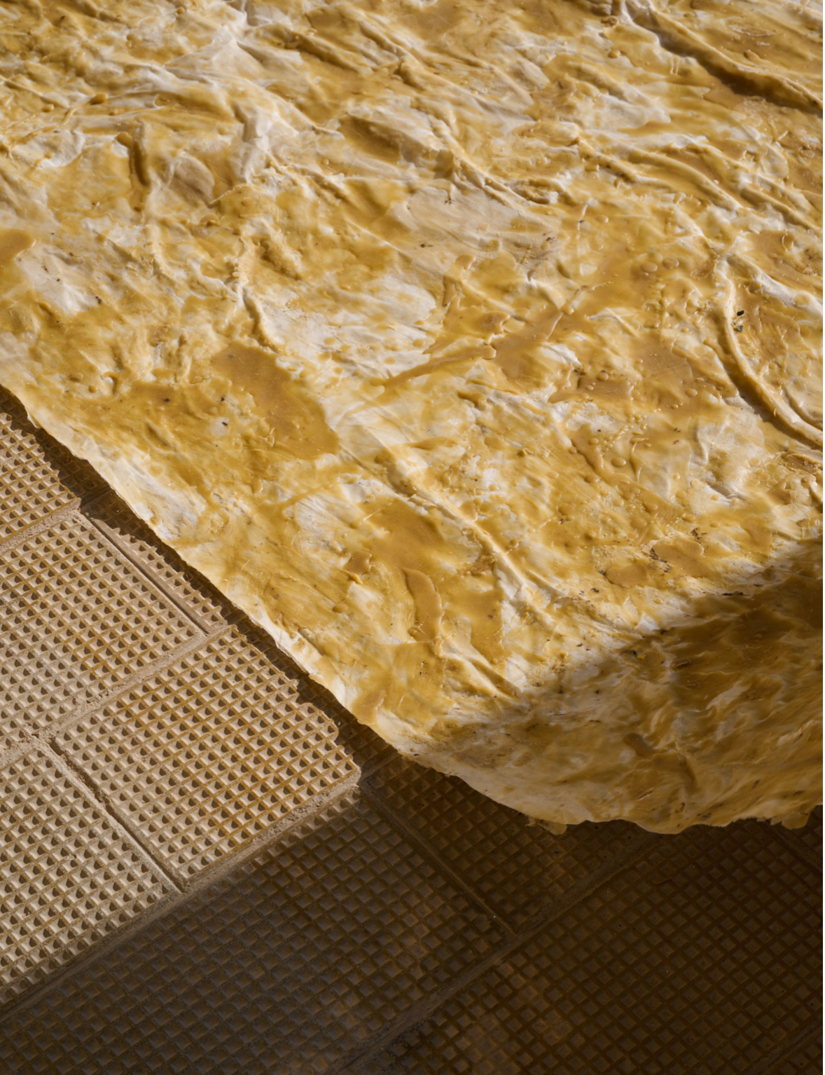 Screenshot 2025-11-05 at 21.37.46.png