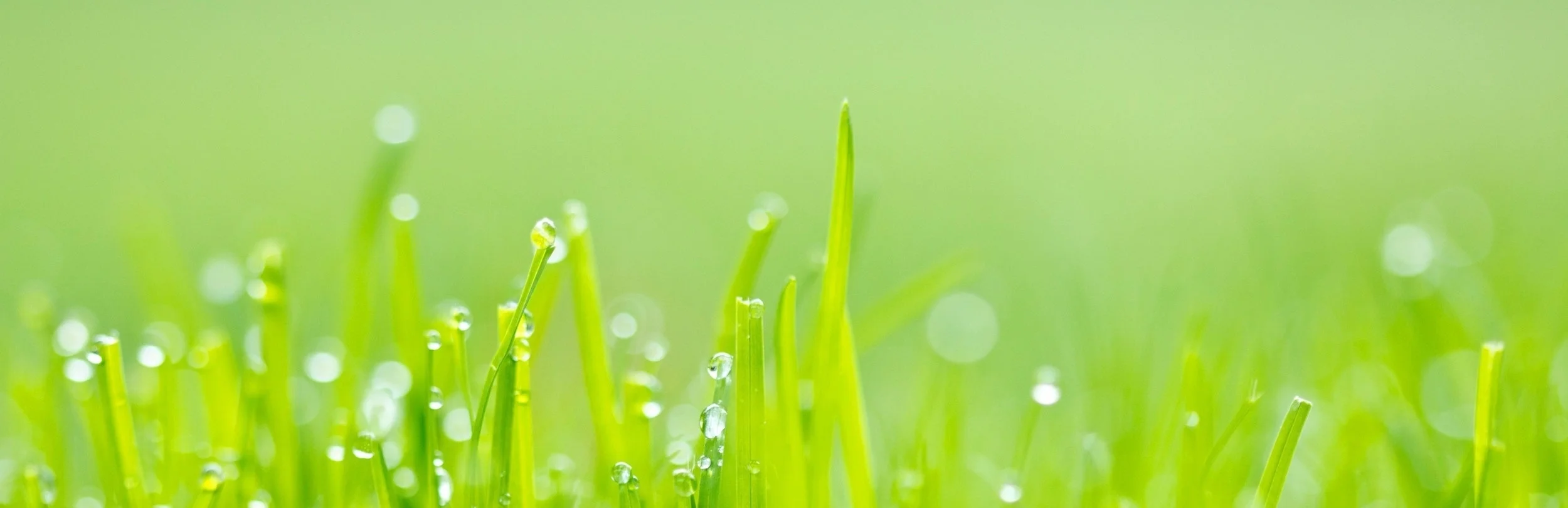 Raintec Bewasserungssysteme Fur Garten Dachterrassen Sportplatze Und Parkanlagen Kostenlose Planung Ihrer Bewasserungsanlage