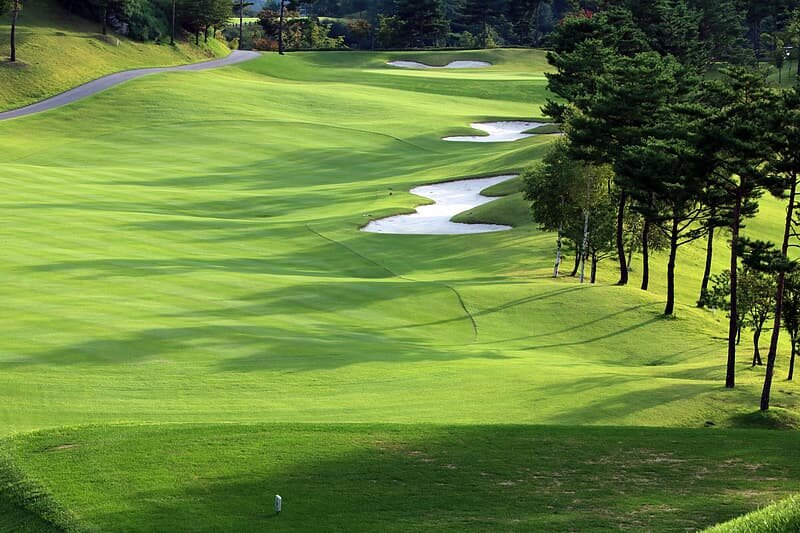 green-grass-field-with-trees.jpg